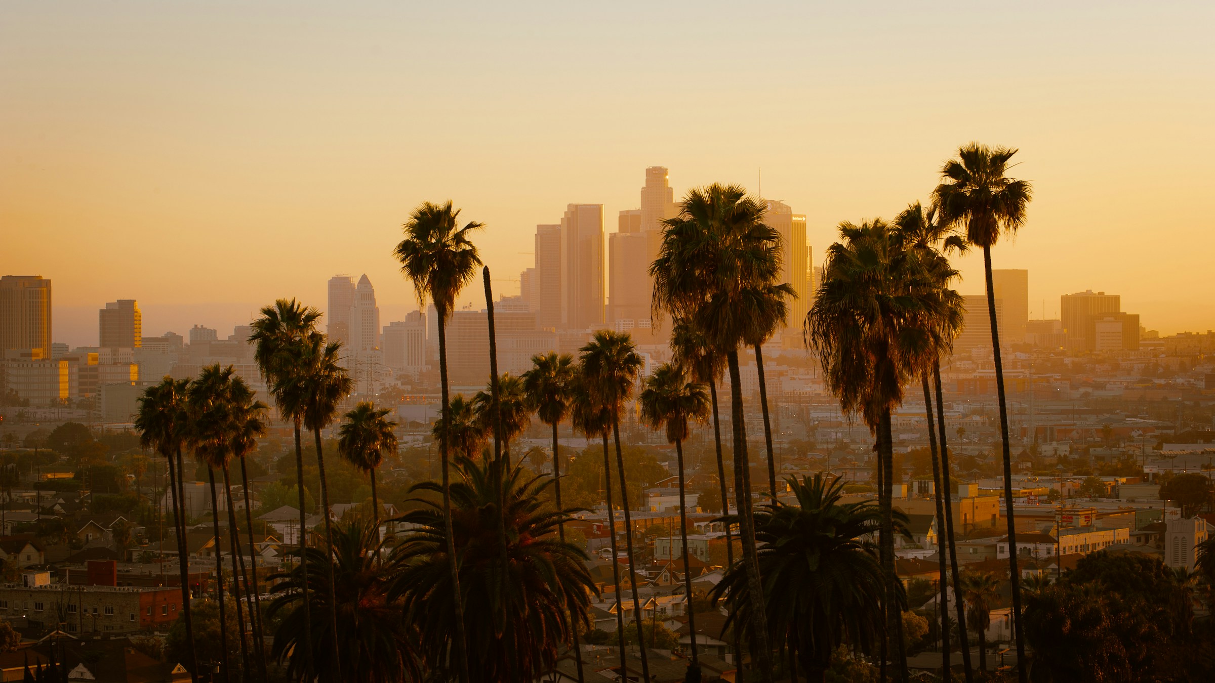 Cover image for Yasmeen Awad at Keller Williams South Bay