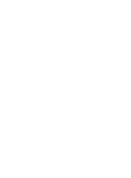 Joey Ben-Zvi logo
